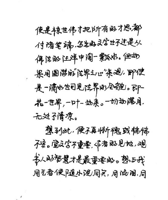 法界之心后记手稿（二）
